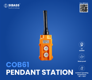 COB 61 Pendant Station