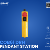 COB61 DRH PENDANT STATION