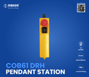 COB61 DRH PENDANT STATION