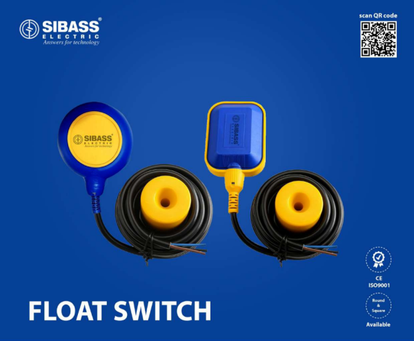 FLOAT SWITCH